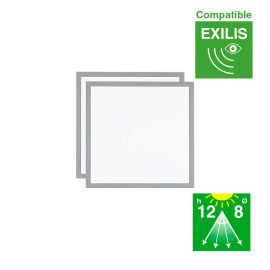 Panel EXILIS 2 x 40 W