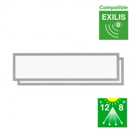 Panel EXILIS 2 x 40 W