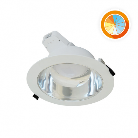Downlight Switch Color (SWC) 6''